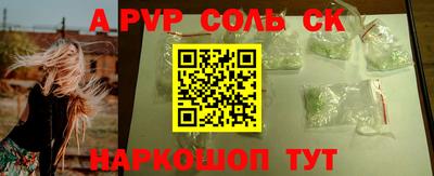 индика Камышлов