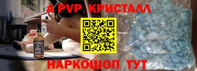 индика Камышлов