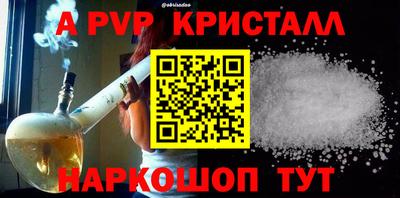 индика Камышлов