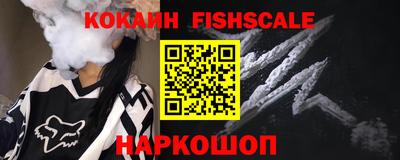 индика Камышлов