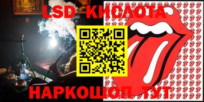 индика Камышлов