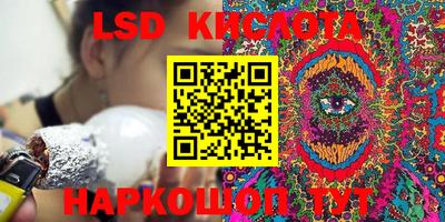 гидра Кандалакша