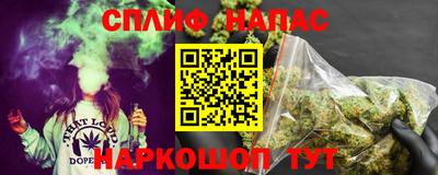 индика Камышлов