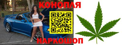 индика Камышлов
