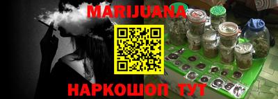 индика Камышлов