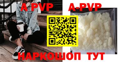 индика Камышлов